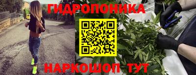 молекула духа Среднеуральск